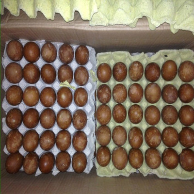 河南菜仙供應鮮鴨蛋、咸鴨蛋批發、零售歡迎新老客戶來電咨詢圖片_高清圖_細節圖-河南菜仙蔬貿易 -