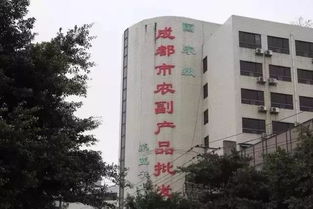 城市變遷的見證 五塊石客運站再會，班線調遷與商品批發貿易新篇章