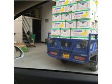 保健品源頭廠家商品服務(wù)與報(bào)價詳情